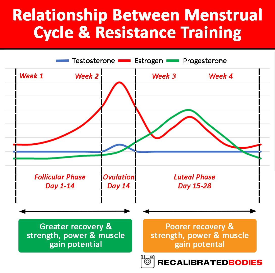 Menstrual Cycle vs. RT 1.3.jpg