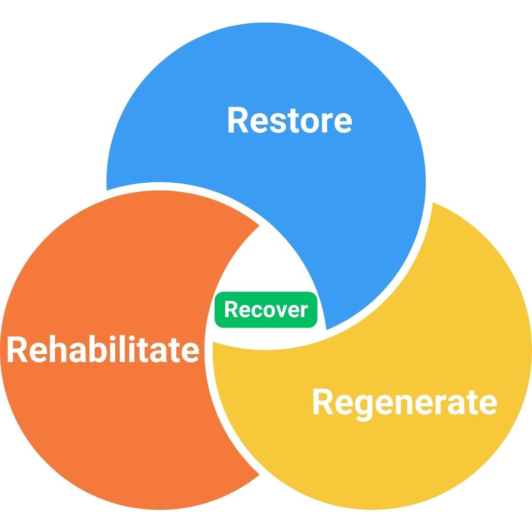 Recovery Venn Diagram 2.jpg